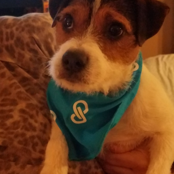 Sat March 22 422pmEST @bethybd&@vocalvibes "COLORS OF MUSIC" Use➕ Send Items - Picture 5 of 16